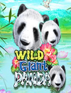 รีวิว fifa สล็อต เกมมันส์จาก NetEnt ที่คุณไม่ควรพลาด